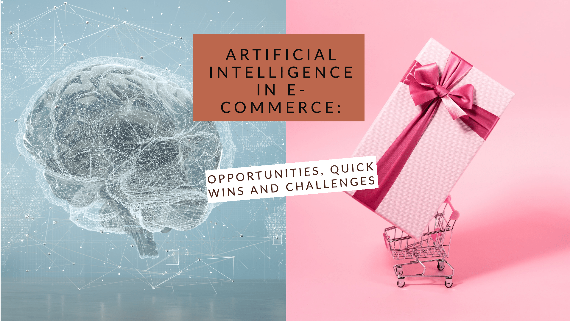 AI in Ecommerce