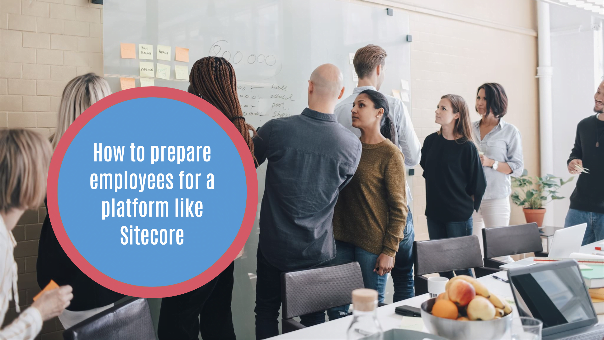 How to prepare employees for a platform like Sitecore