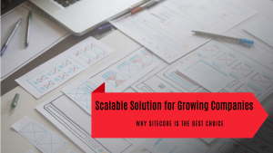 Why Sitecore is the scalable solution for growing companies