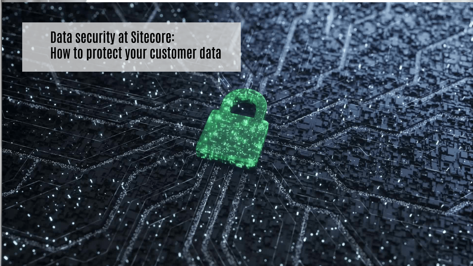Data security at Sitecore: How to protect your customer data