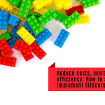 Reduce costs, increase efficiency: How to successfully implement Sitecore