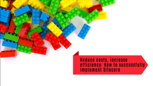 Reduce costs, increase efficiency: How to successfully implement Sitecore