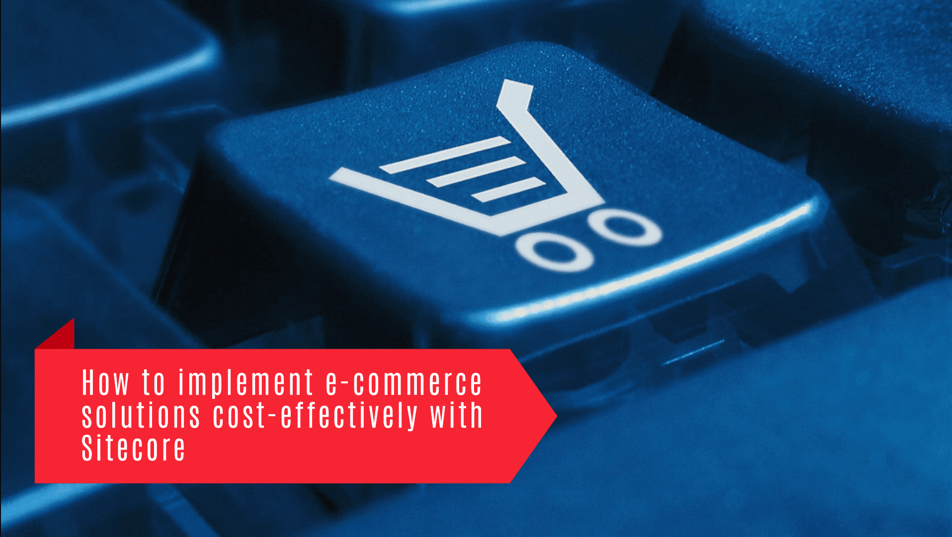 How to implement e-commerce solutions cost-effectively with Sitecore